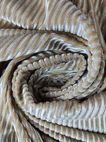 Срібна смуга 2-4