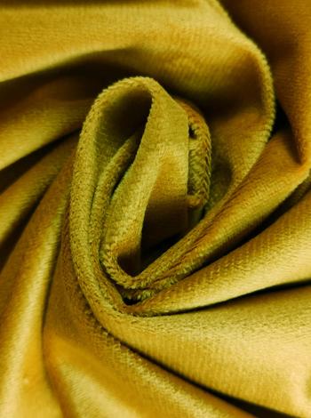 Голландський оксамит